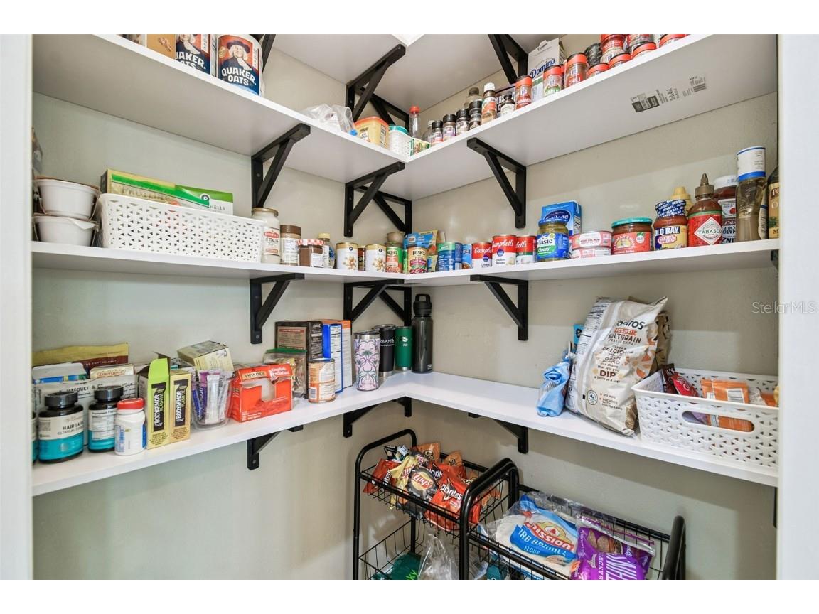 14309 Azalea Pond Court Lithia FL 33547 TB8450801 image22