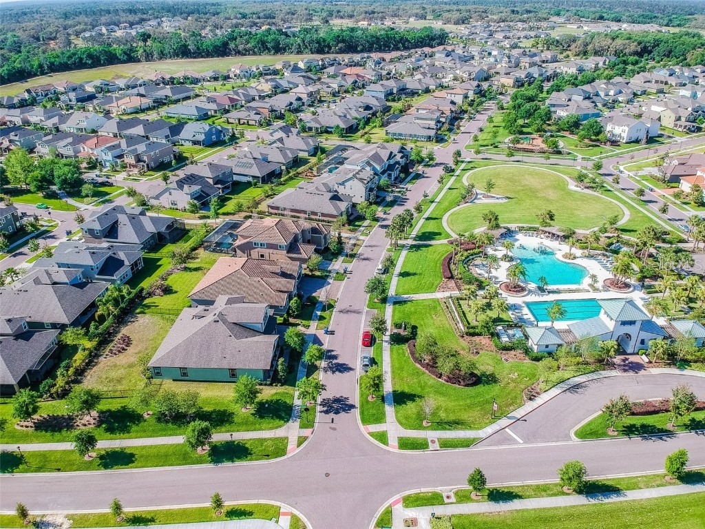 14309 Azalea Pond Court Lithia FL 33547 TB8450801 image72