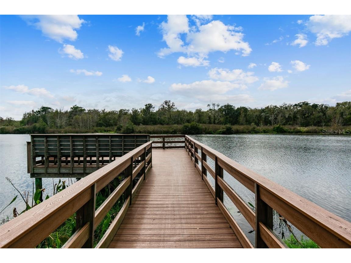 14309 Azalea Pond Court Lithia FL 33547 TB8450801 image78