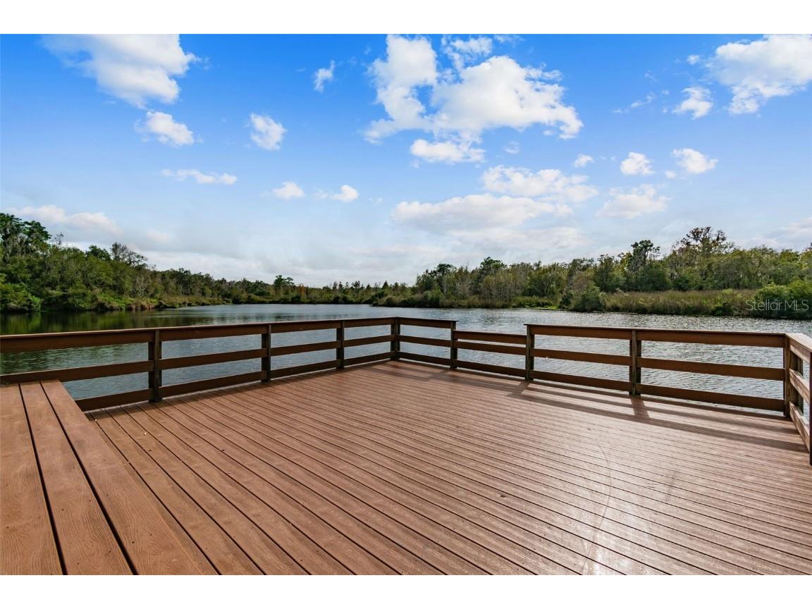 14309 Azalea Pond Court Lithia FL 33547 TB8450801 image79