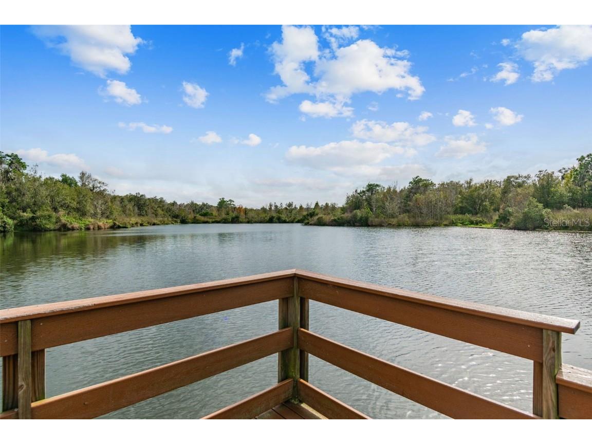 14309 Azalea Pond Court Lithia FL 33547 TB8450801 image80