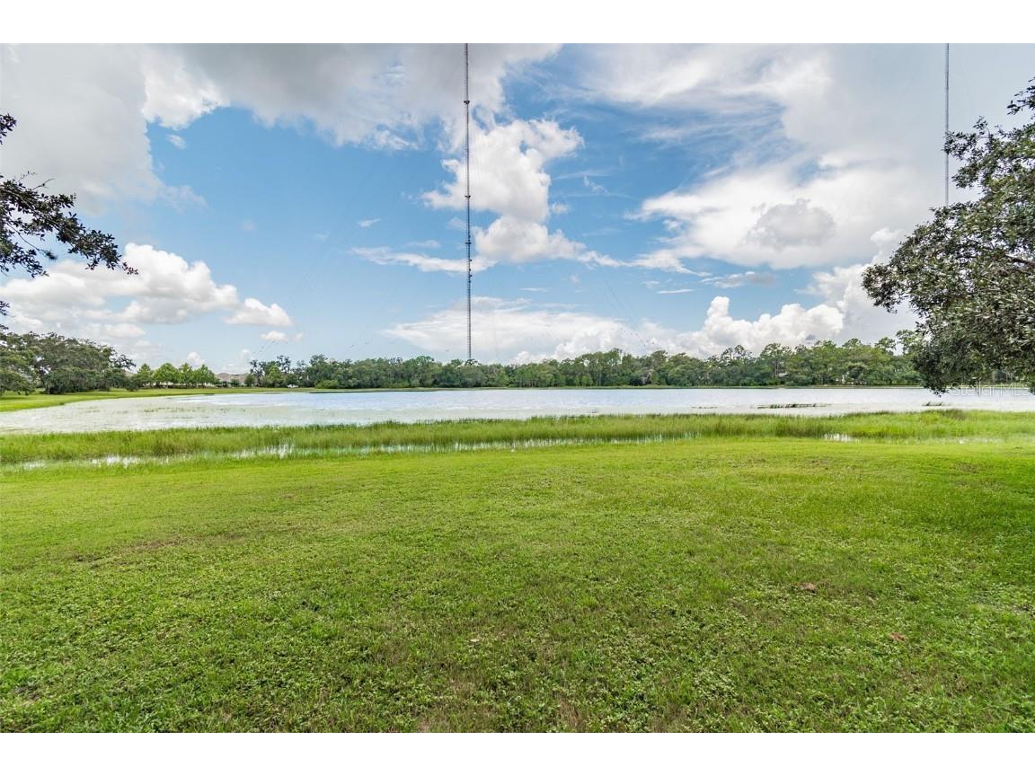 14309 Azalea Pond Court Lithia FL 33547 TB8450801 image87