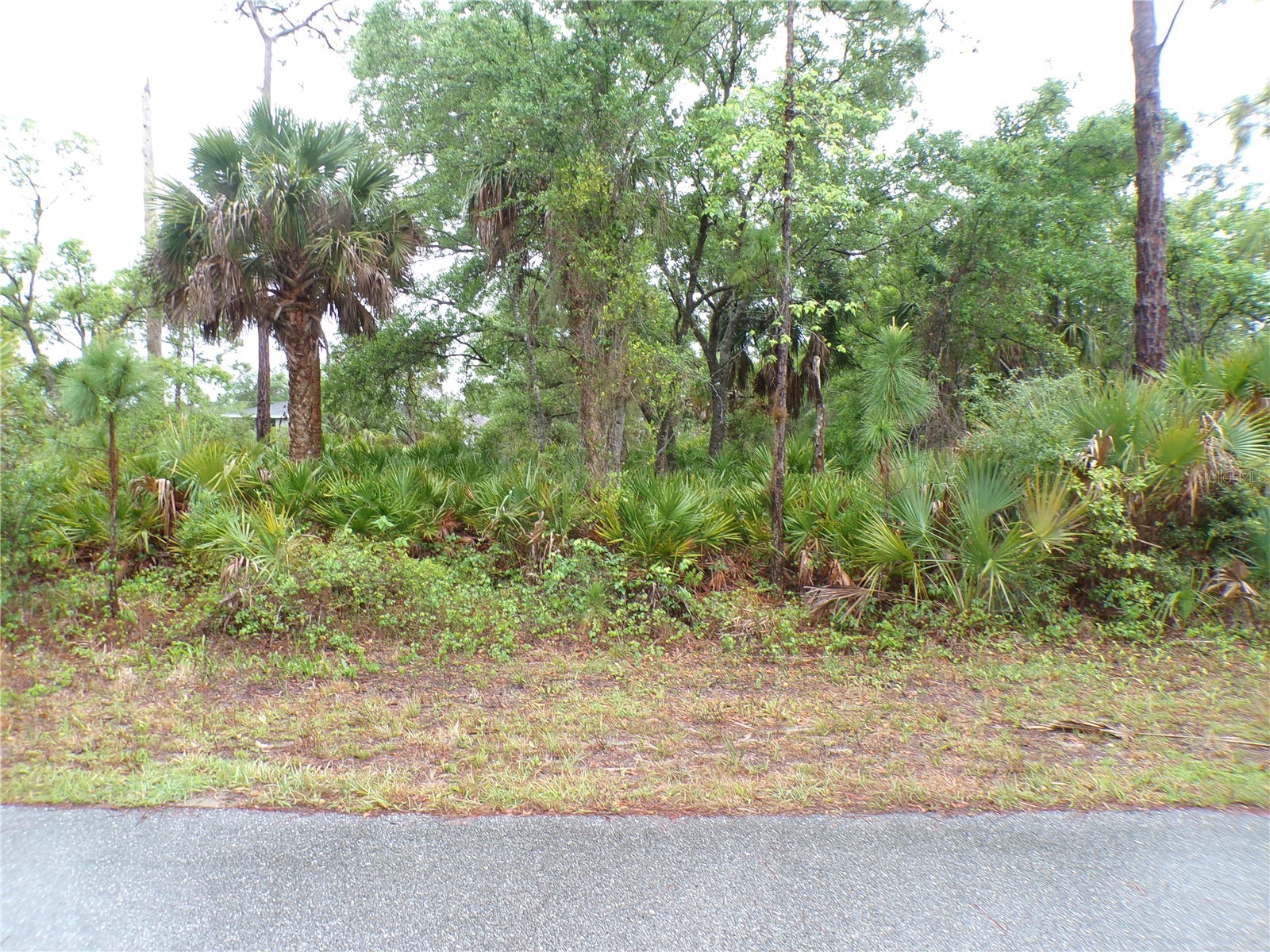 14309 Harcourt Avenue Port Charlotte FL 33953 C7524551 image1