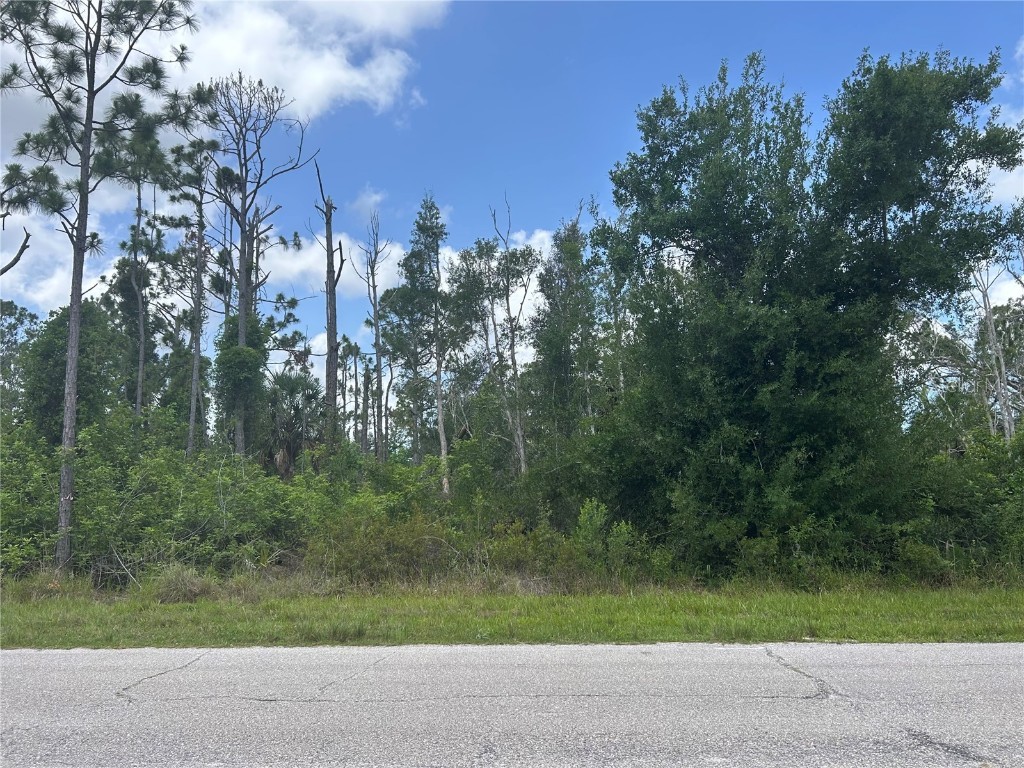 14309 Sanilac Avenue Port Charlotte FL 33981 D6142681 image2