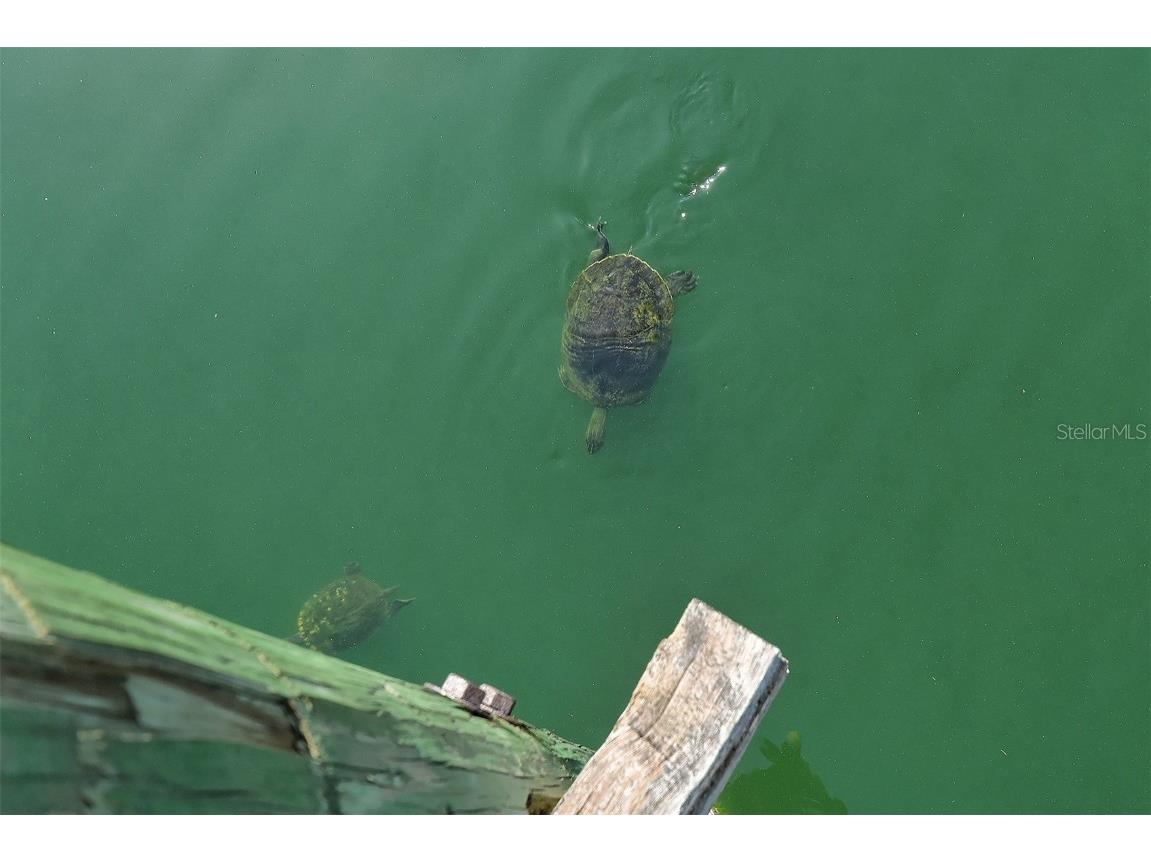 1431 57th Street W #1431 Bradenton FL 34209 A4647531 image59