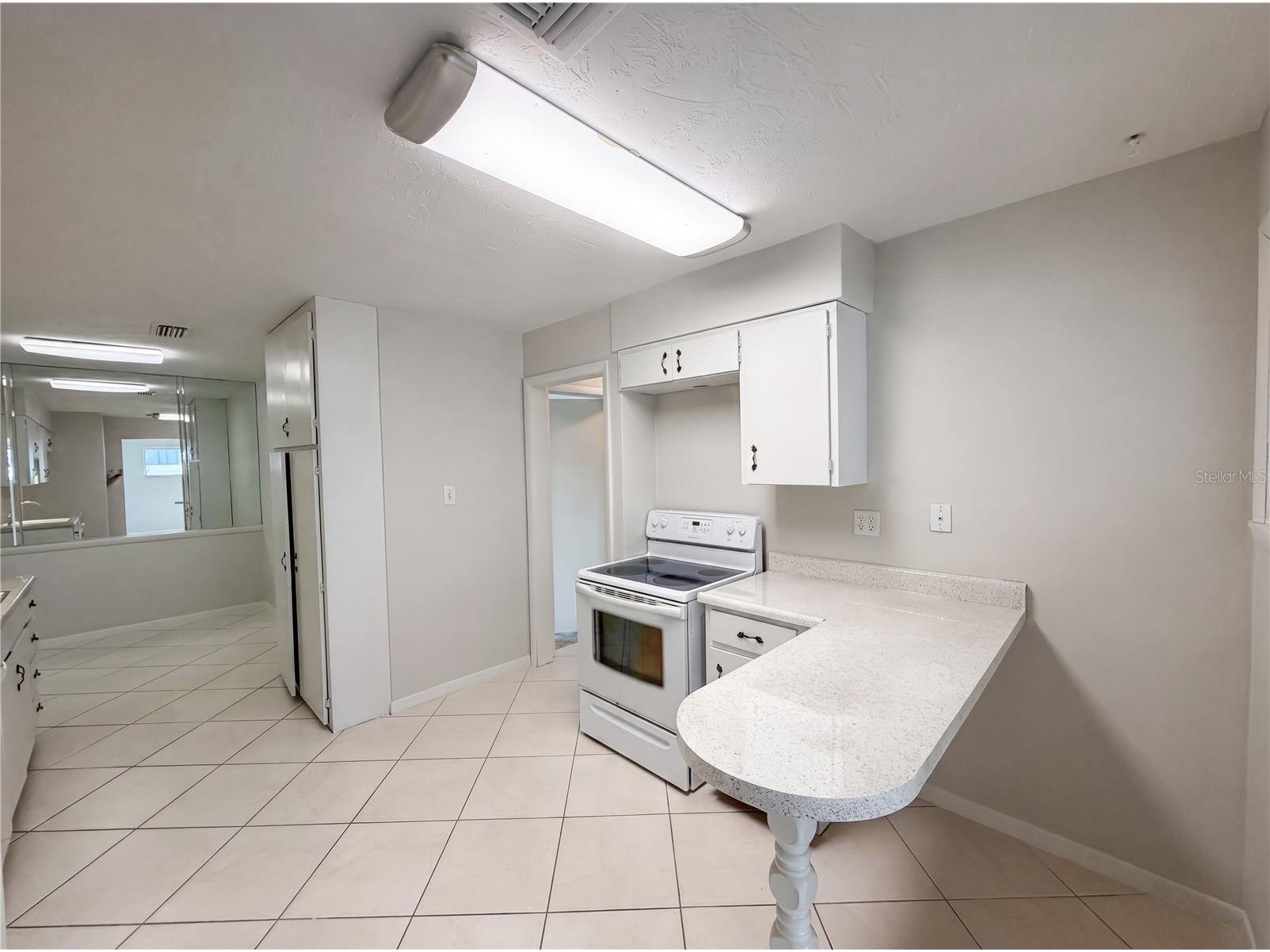 1431 Coburn Drive Tarpon Springs FL 34689 O6415301 image4