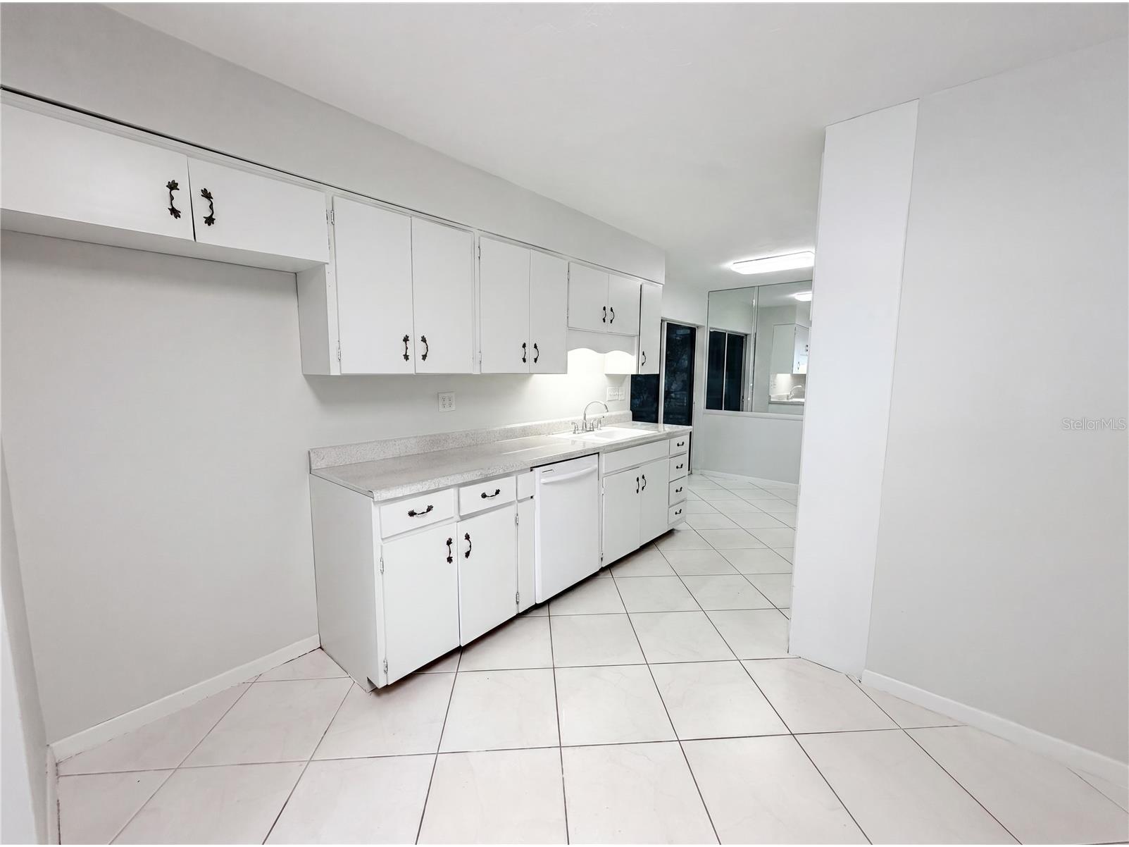 1431 Coburn Drive Tarpon Springs FL 34689 O6415301 image5