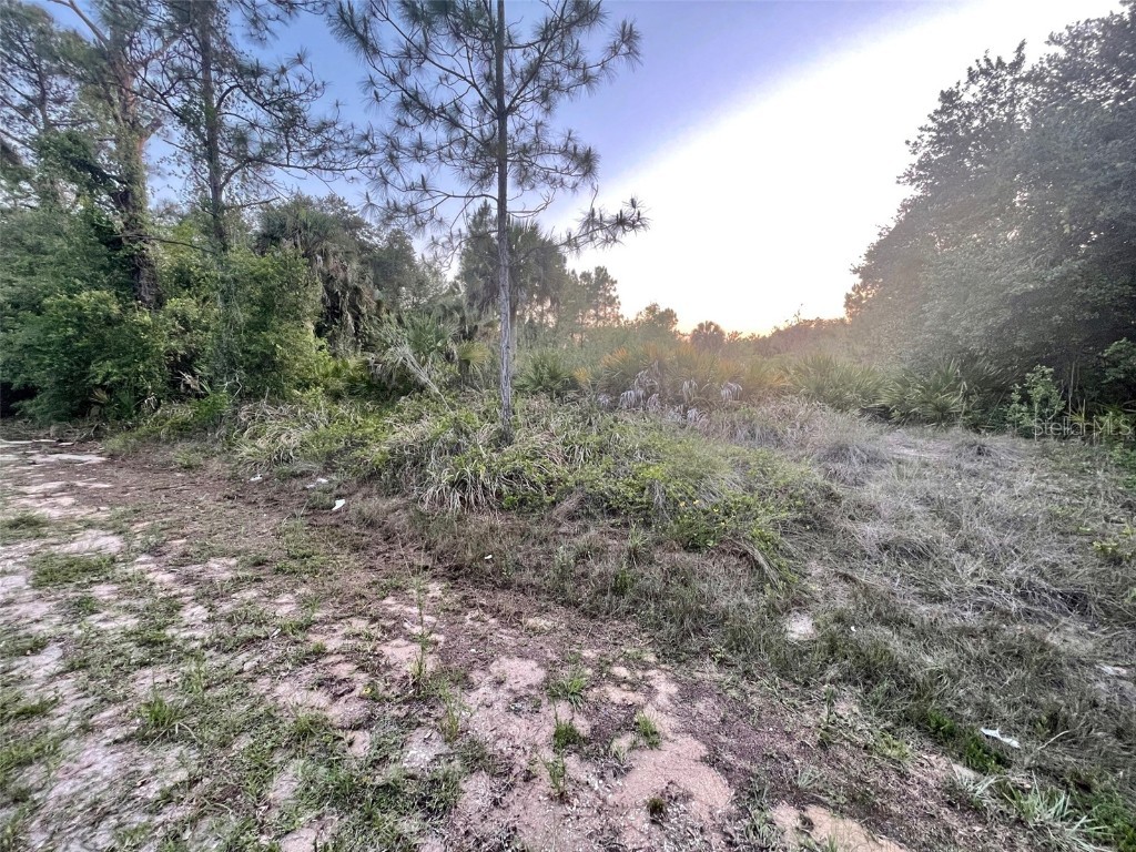 1431 Euclid Avenue Lehigh Acres FL 33972 D6132001 image1