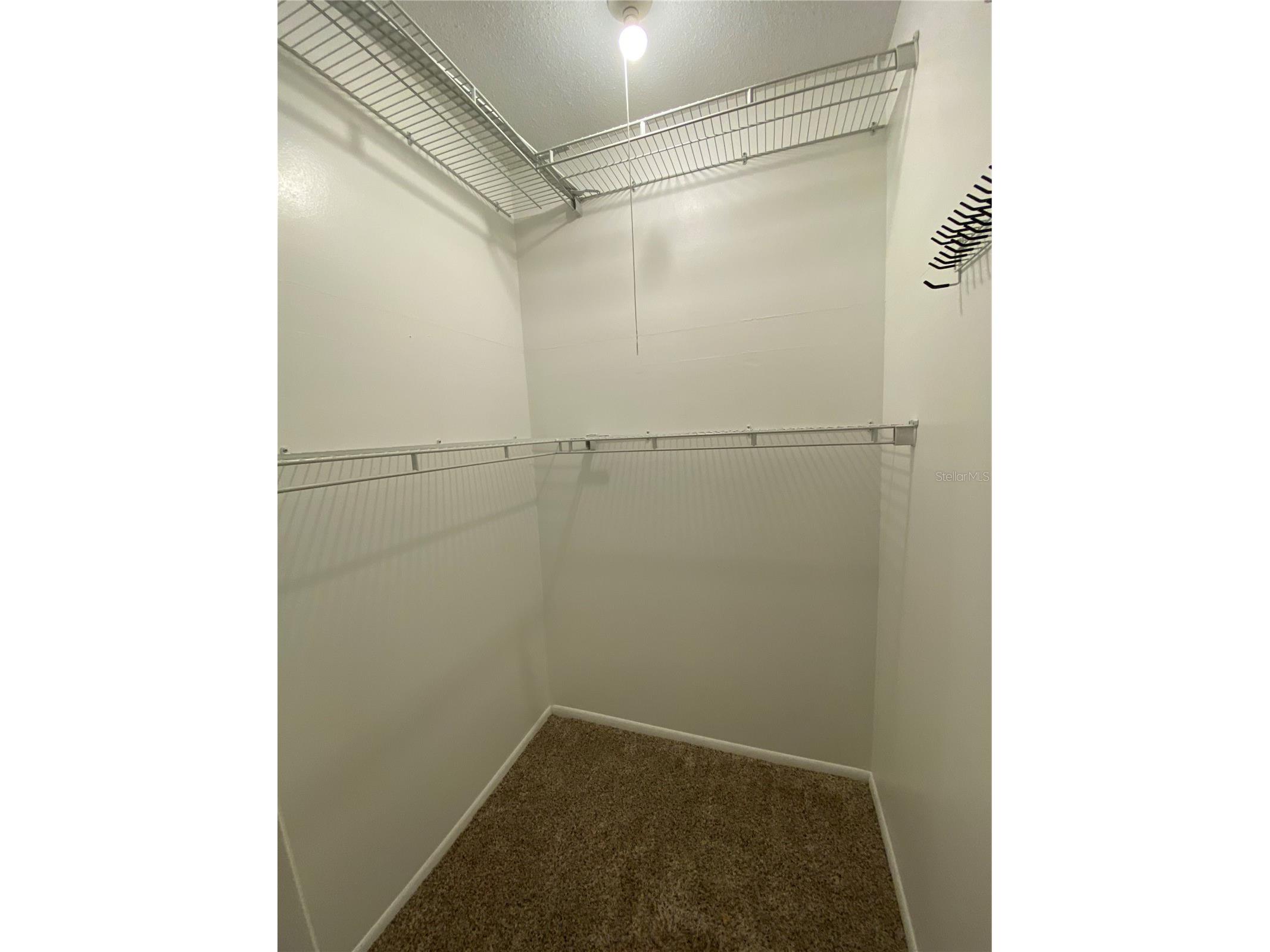 1431 Guernsey Street Orlando FL 32804 O6332526 image25