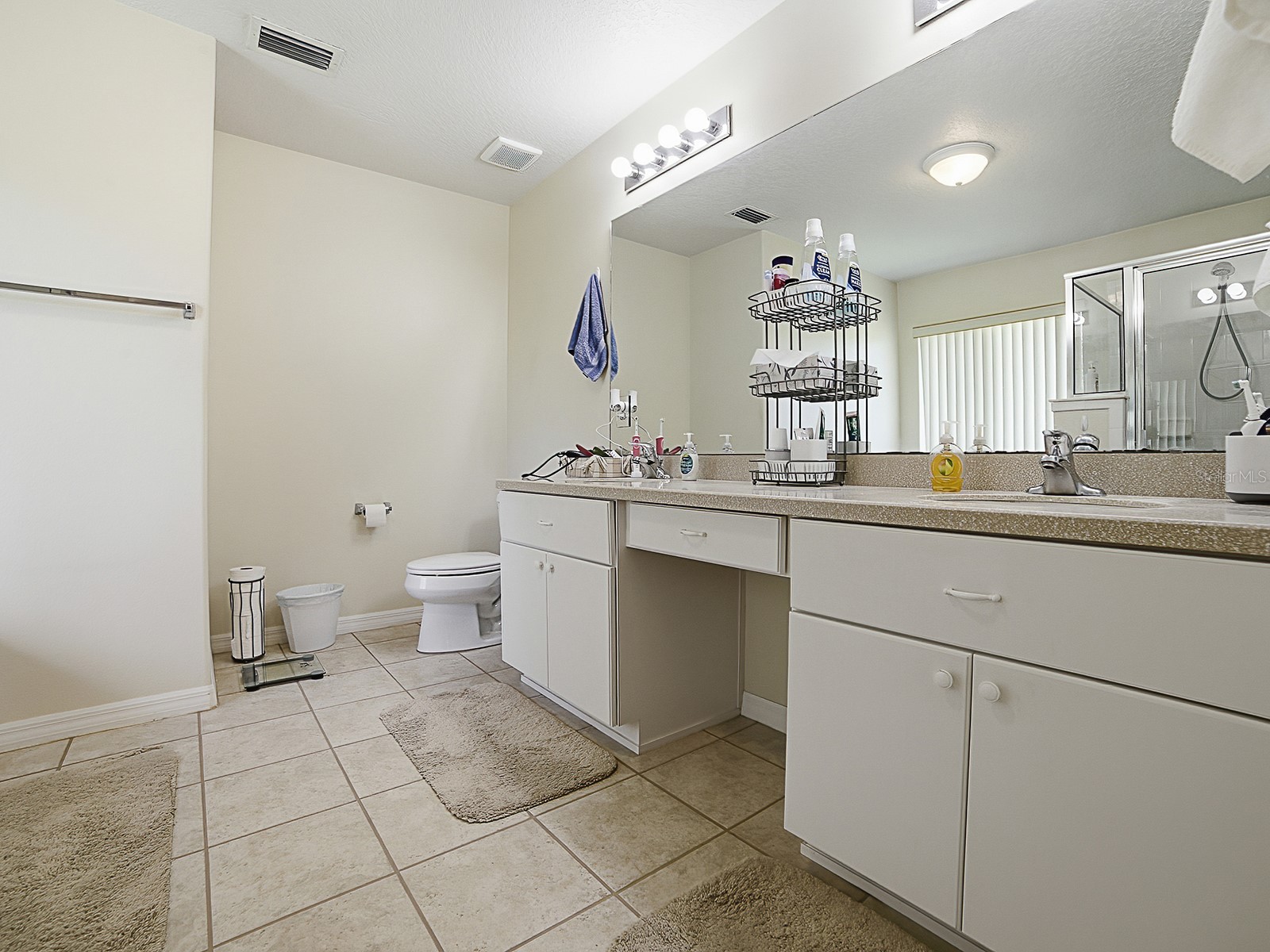 1431 Lake Villa Drive Tavares FL 32778 - LAKE SAUNDERS G5112586 image26