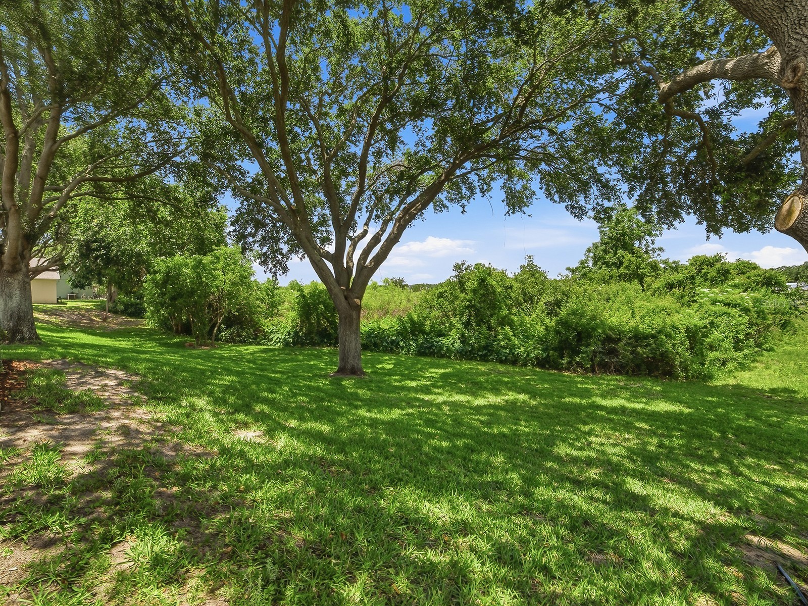 1431 Lake Villa Drive Tavares FL 32778 - LAKE SAUNDERS G5112586 image33