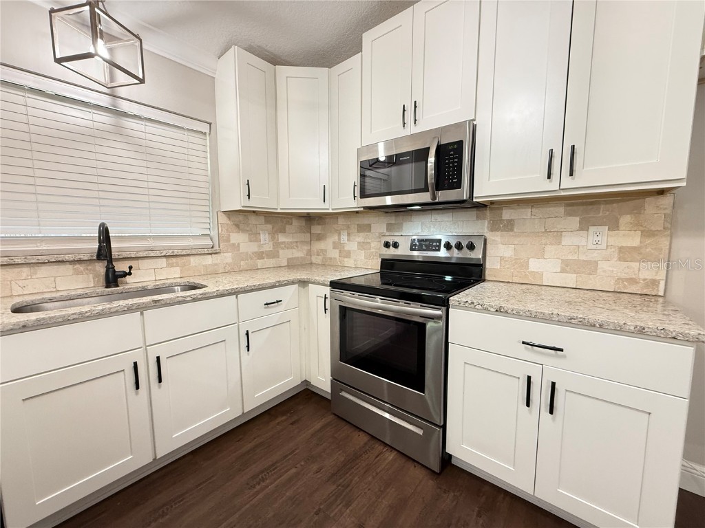 1431 Noell Boulevard Palm Harbor FL 34683 TB8454582 image7