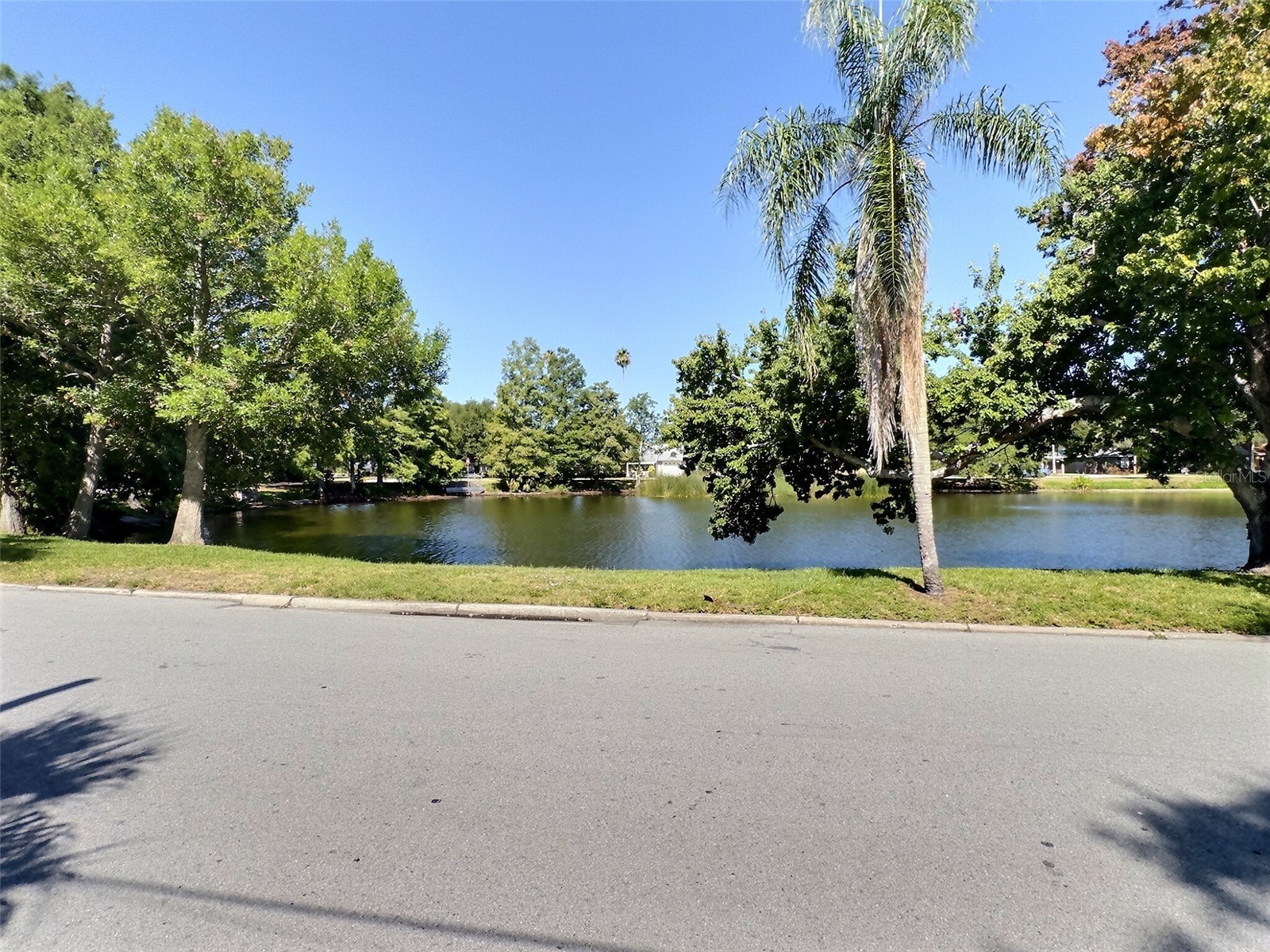 1431 Paloma Lane Dunedin FL 34698 TB8524086 image18