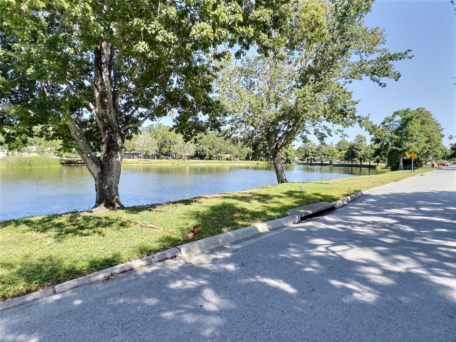 1431 Paloma Lane Dunedin FL 34698 TB8524086 image2