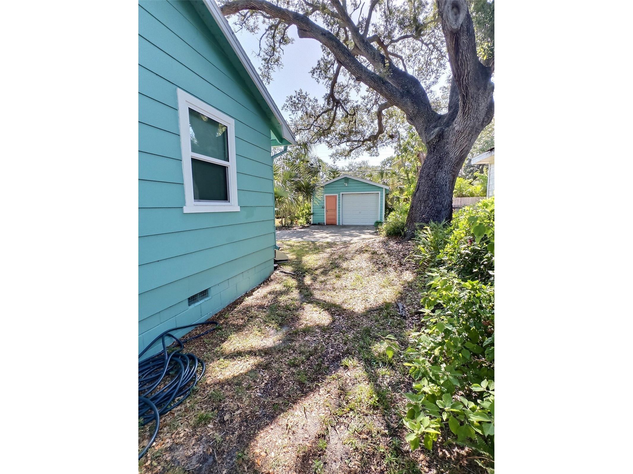 1431 Paloma Lane Dunedin FL 34698 TB8524086 image4