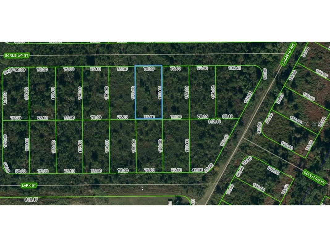 1431 Scrub Jay Street Lake Placid FL 33852 OM624748 image1