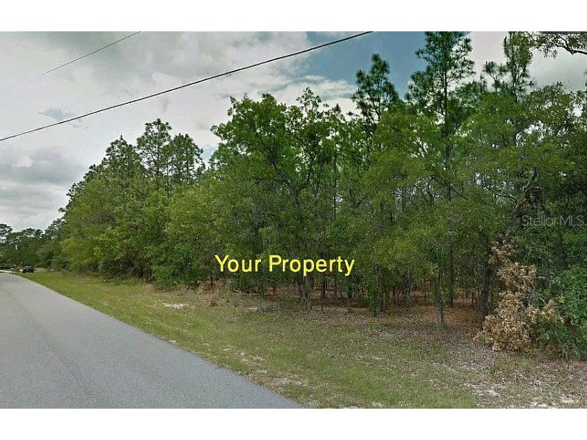 1431 W Omaha Place Citrus Springs FL 34434 TB8455852 image1