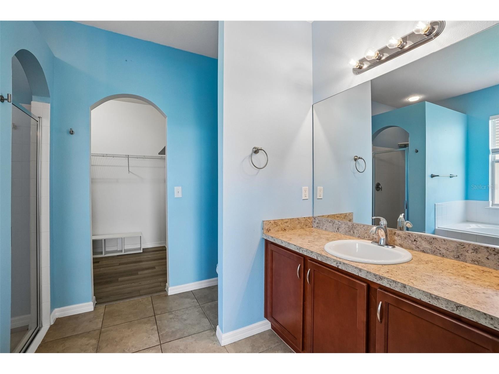 14310 Alistar Manor Drive Wimauma FL 33598 TB8501812 image24