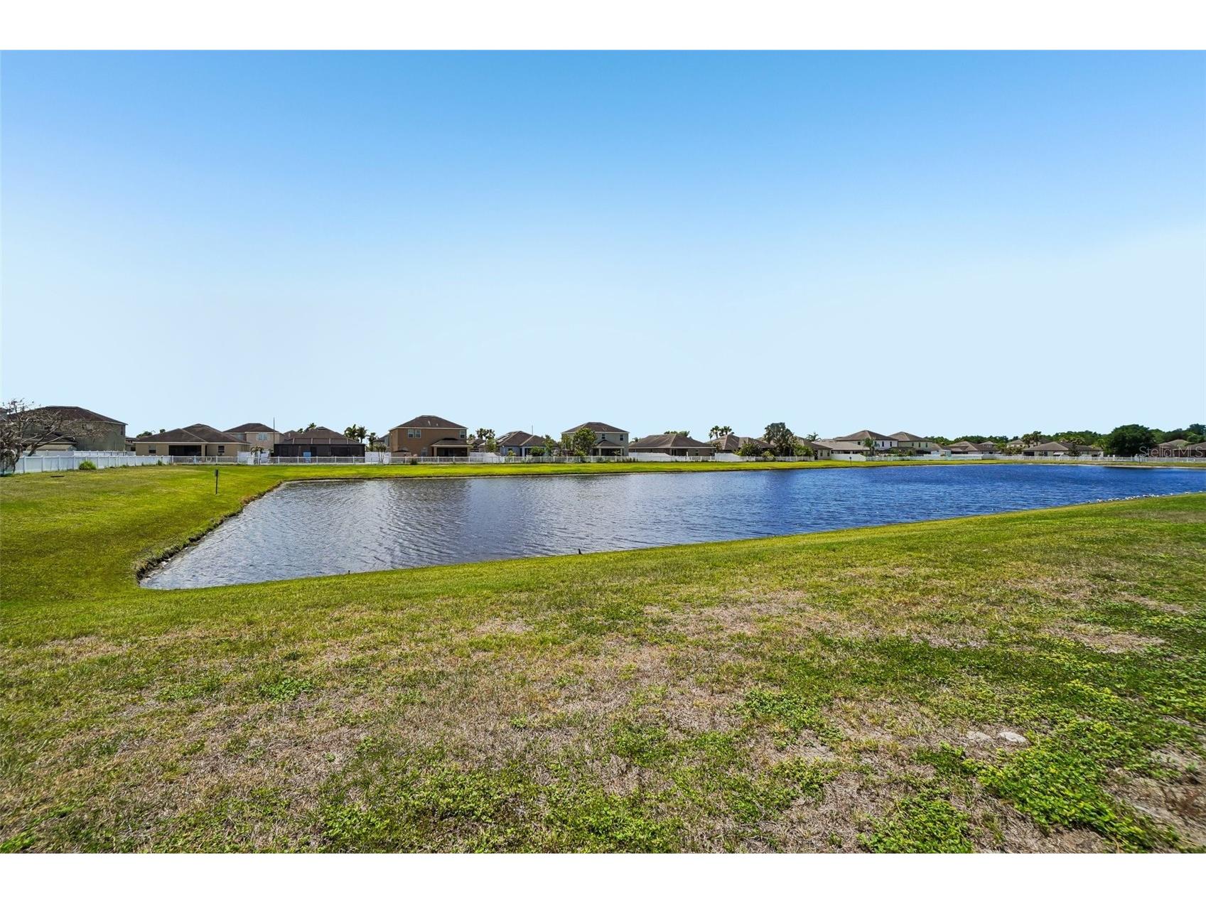 14310 Alistar Manor Drive Wimauma FL 33598 TB8501812 image33