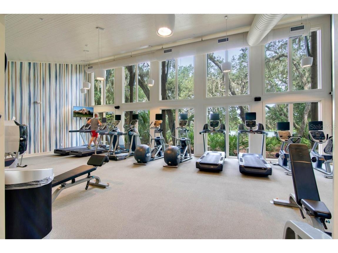 14310 Barrington Stowers Drive Lithia FL 33547 TB8424399 image47