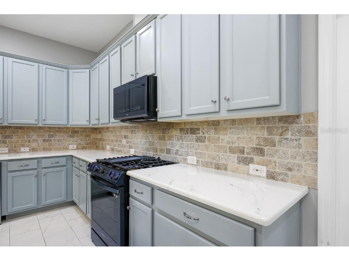 14310 Barrington Stowers Drive Lithia FL 33547 TB8424399 image6