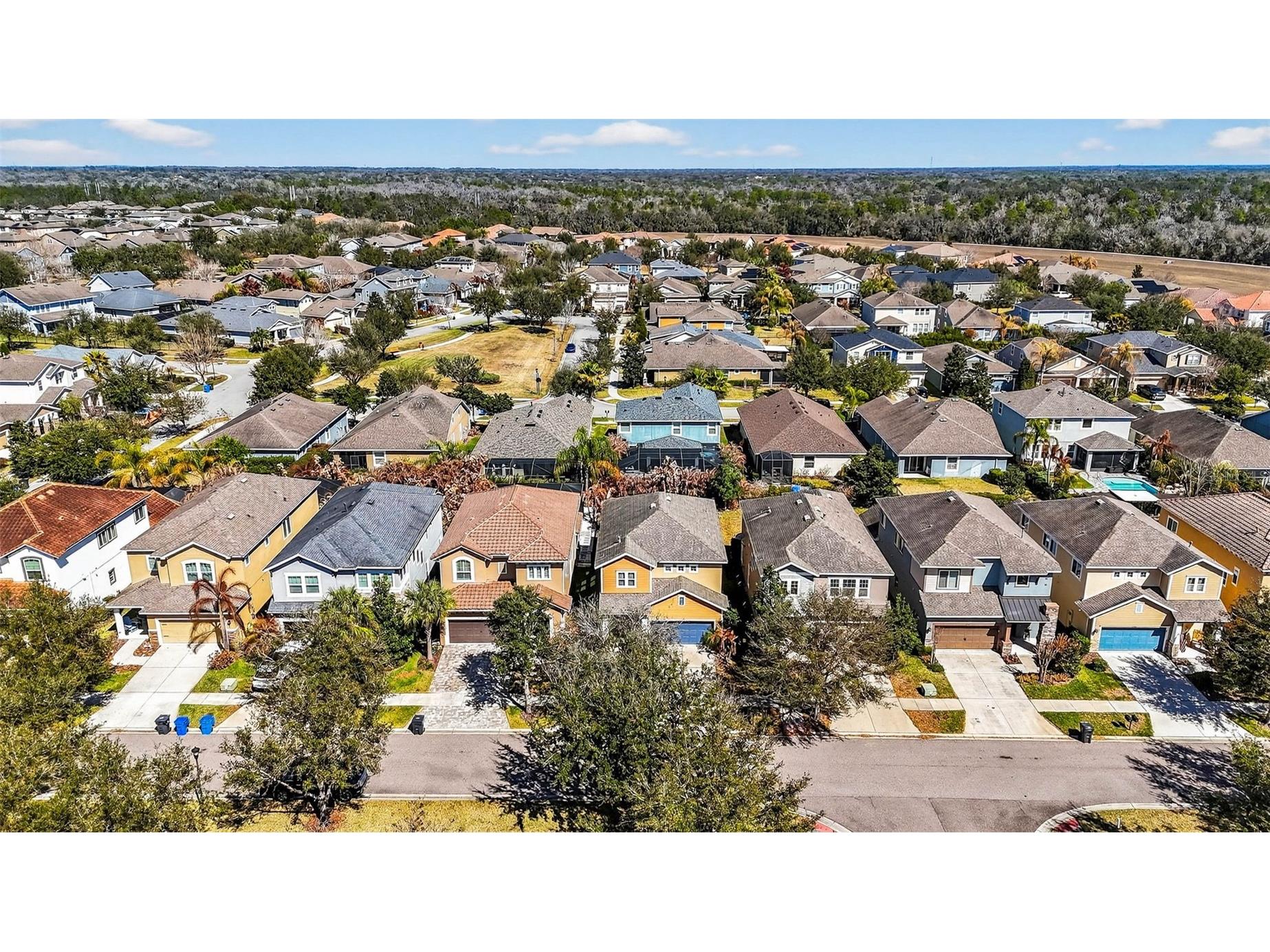 14310 Barrington Stowers Drive Lithia FL 33547 TB8513185 image52