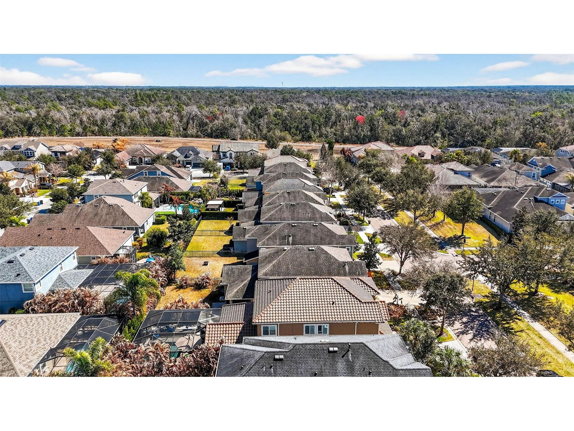 14310 Barrington Stowers Drive Lithia FL 33547 TB8513185 image58