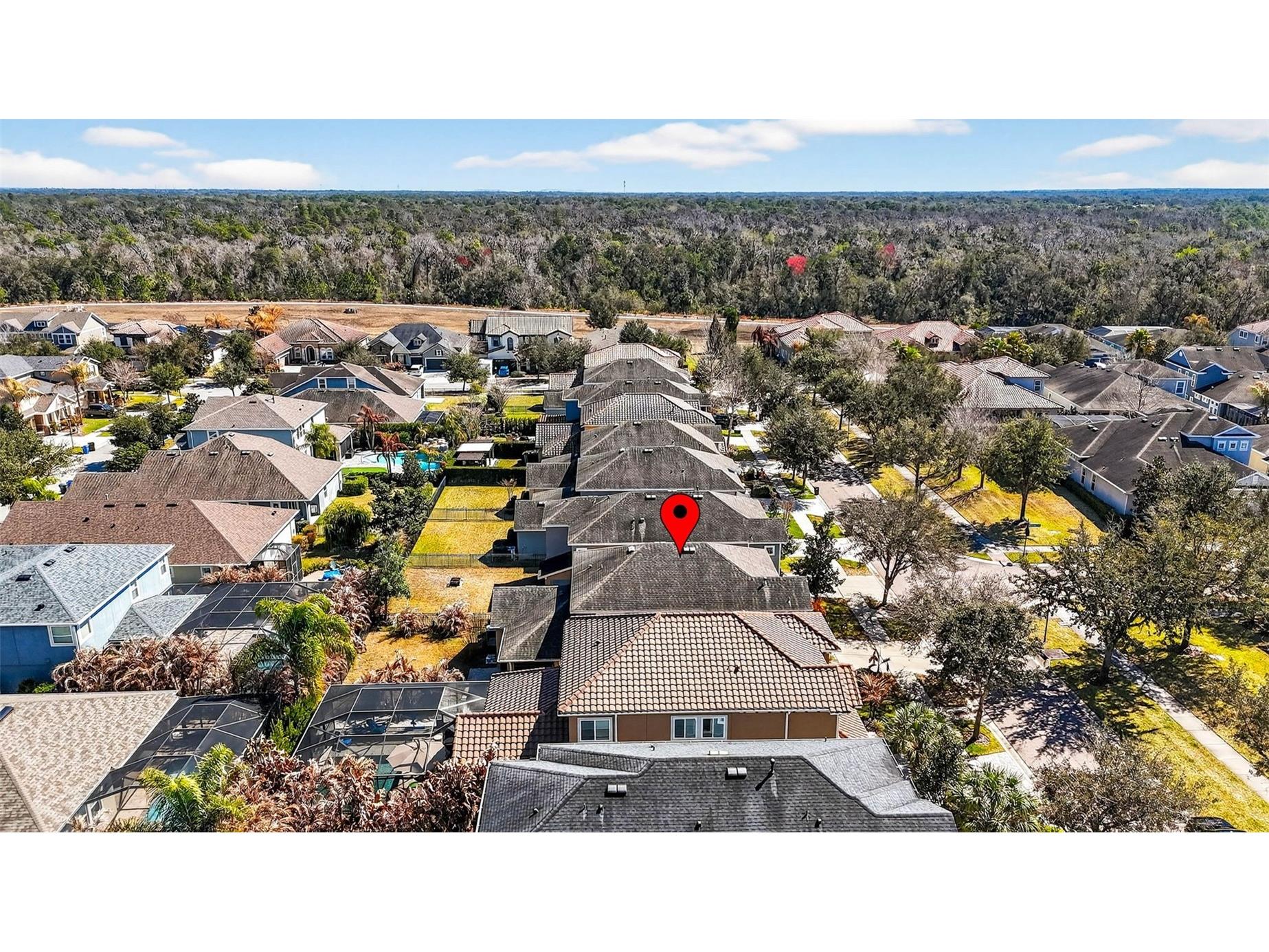 14310 Barrington Stowers Drive Lithia FL 33547 TB8513185 image59