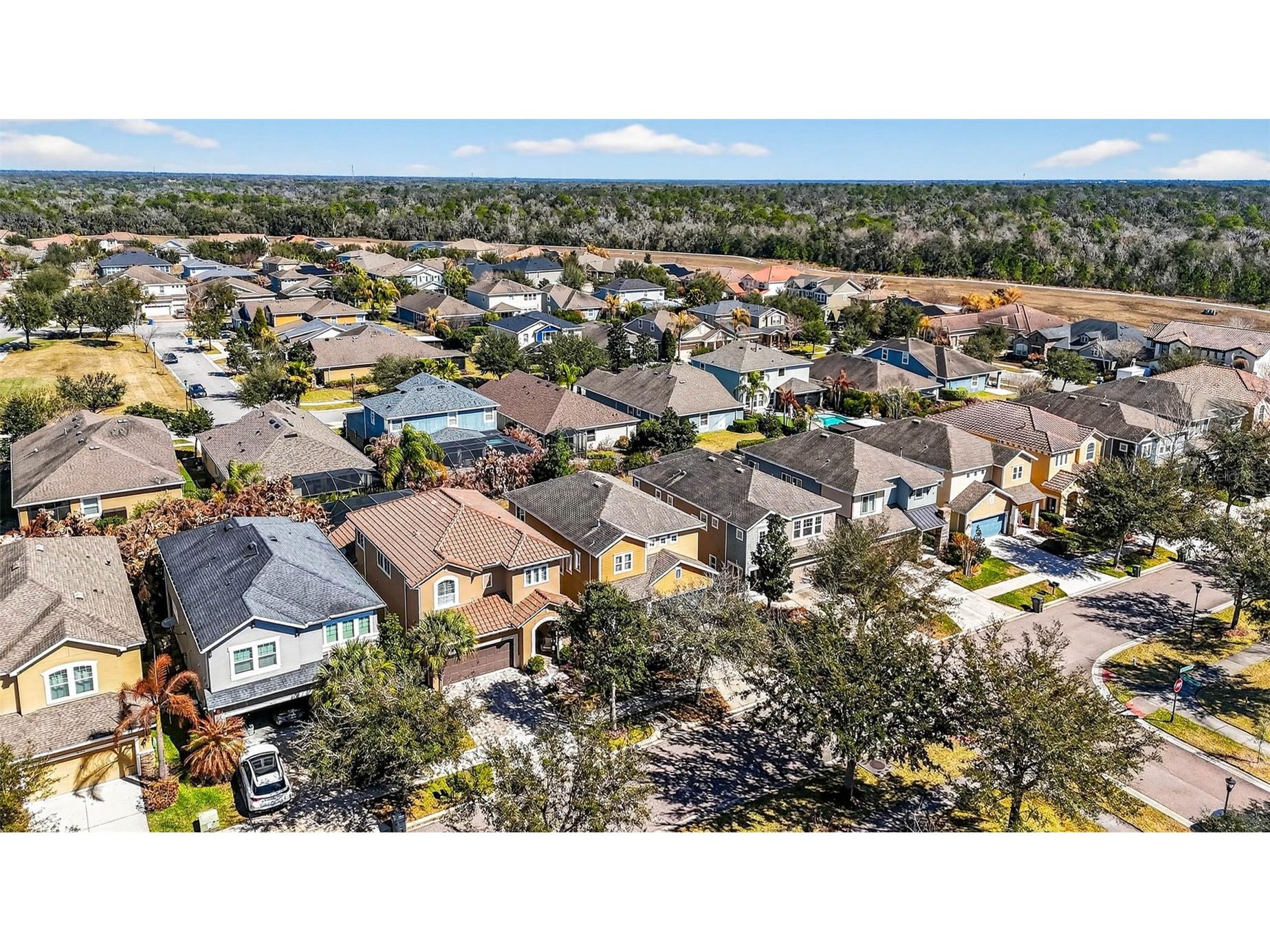 14310 Barrington Stowers Drive Lithia FL 33547 TB8513185 image64