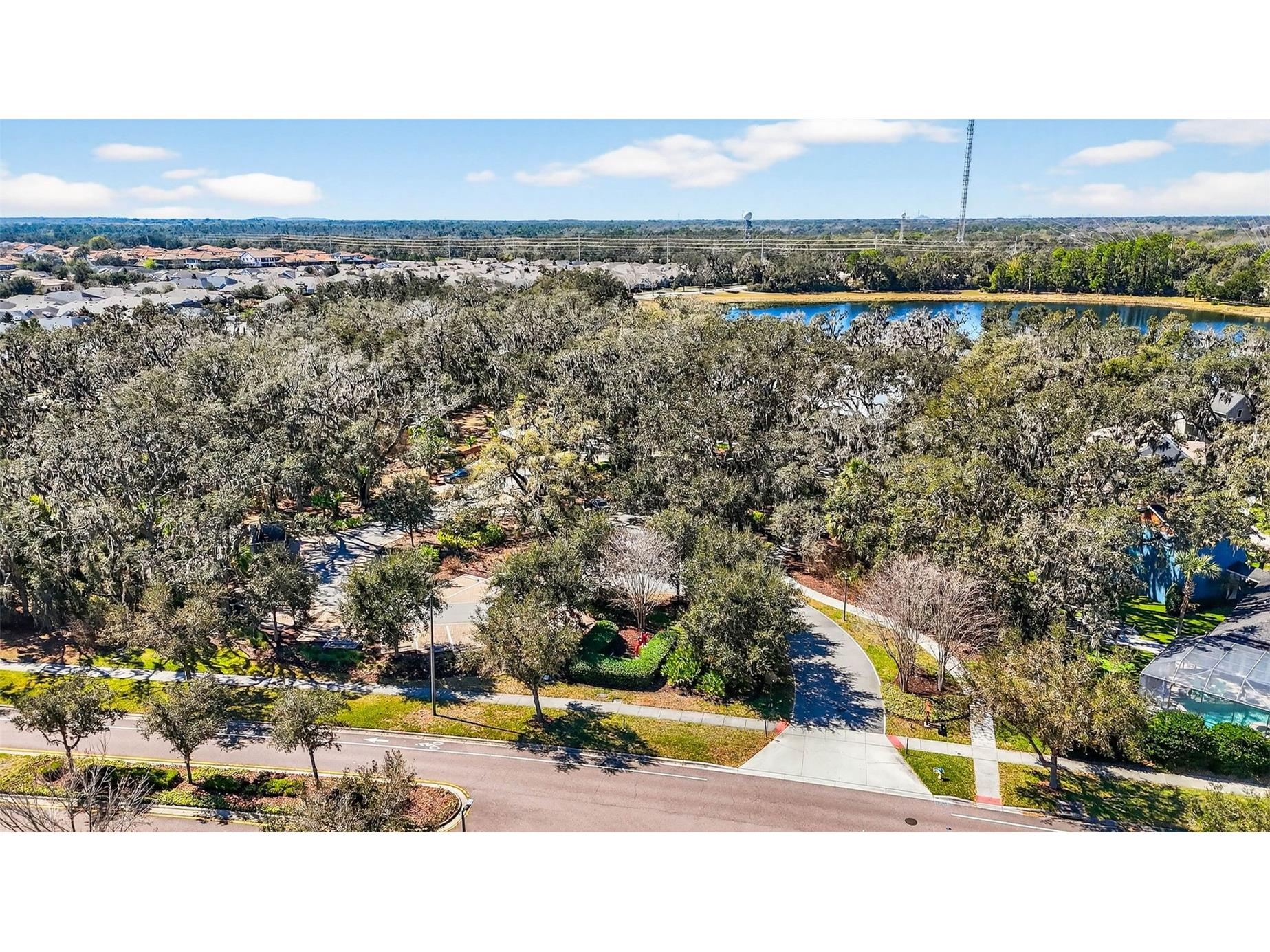 14310 Barrington Stowers Drive Lithia FL 33547 TB8513185 image71