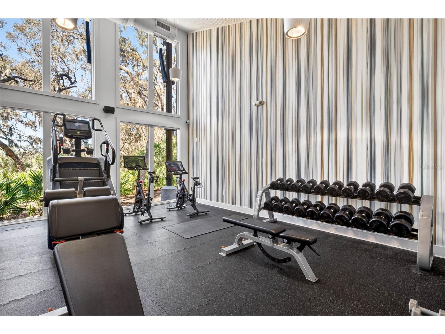 14310 Barrington Stowers Drive Lithia FL 33547 TB8513185 image79