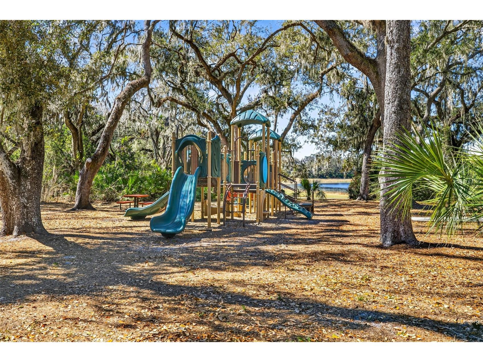 14310 Barrington Stowers Drive Lithia FL 33547 TB8513185 image83