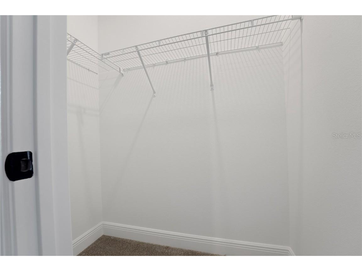 14310 Crest Palm Avenue Windermere FL 34786 G5106266 image19