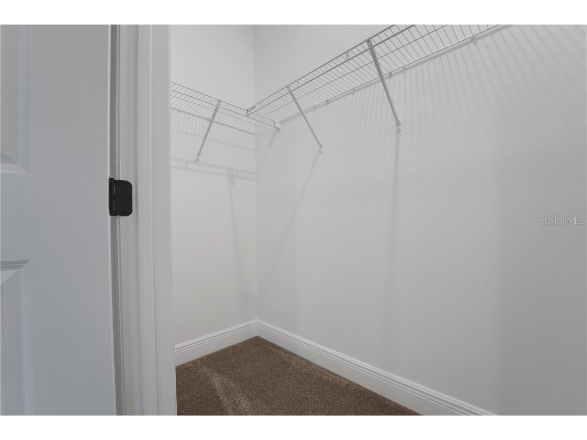 14310 Crest Palm Avenue Windermere FL 34786 G5106266 image4