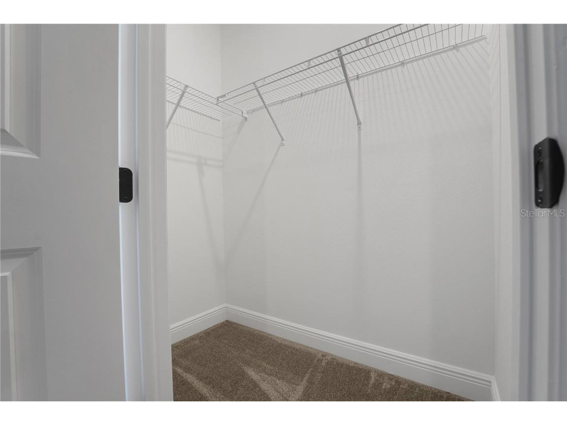 14310 Crest Palm Avenue Windermere FL 34786 G5106266 image8