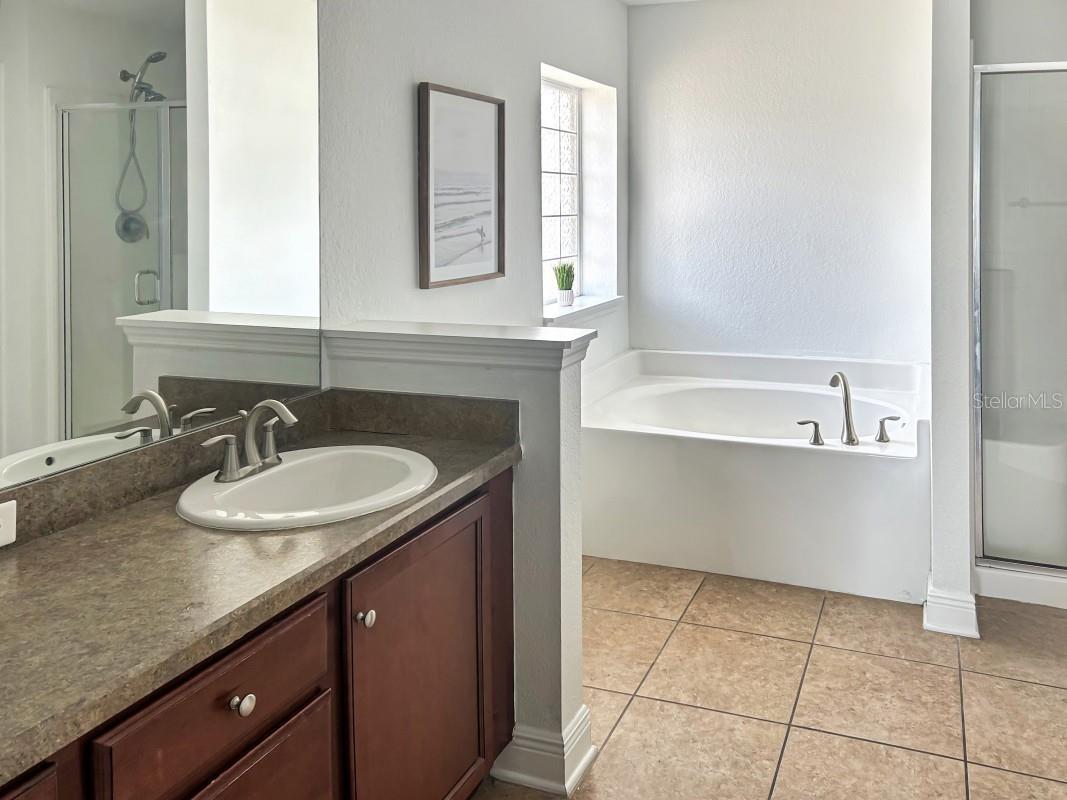 14310 Edinburgh Moor Drive Wimauma FL 33598 A4694757 image10