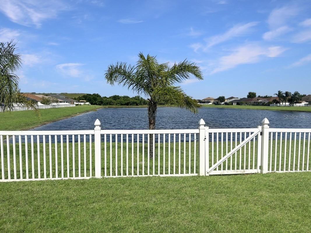 14310 Edinburgh Moor Drive Wimauma FL 33598 A4694757 image4
