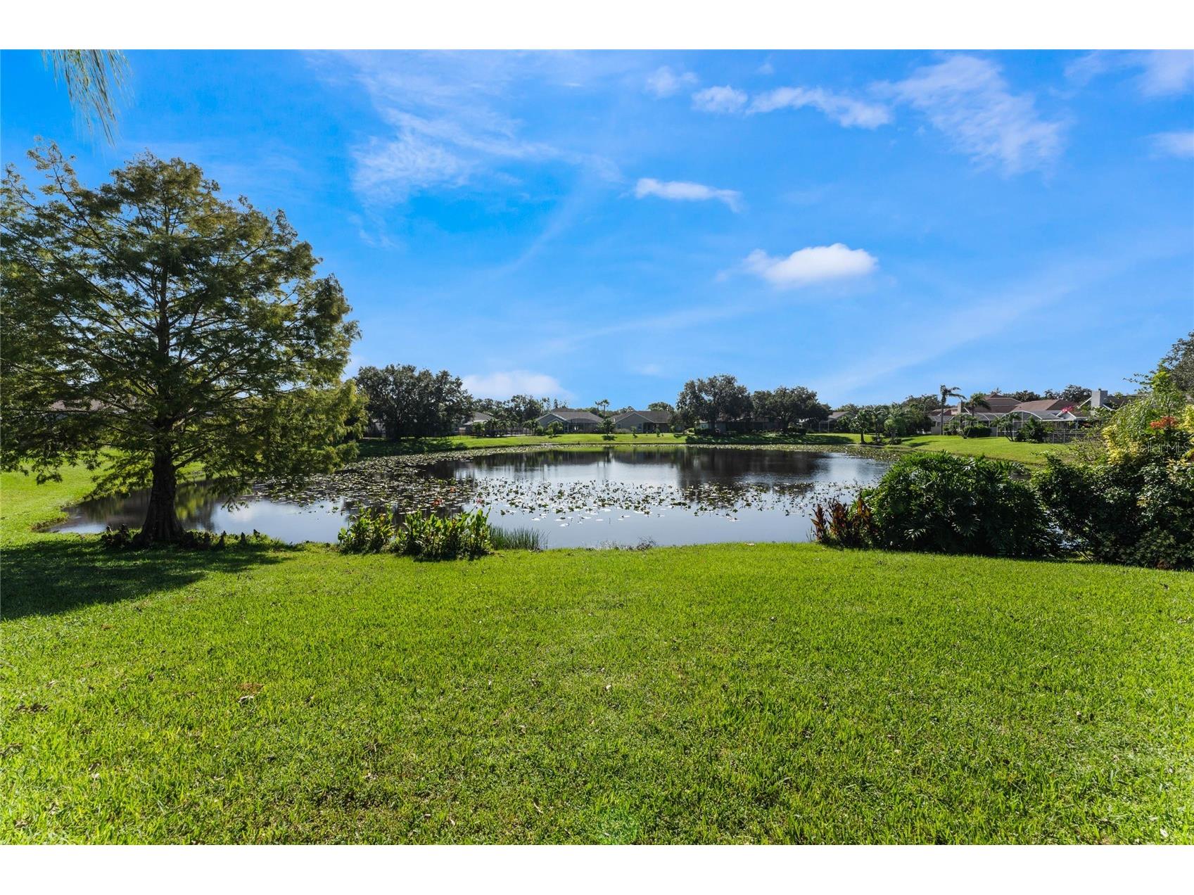 14310 Lord Barclay Drive Orlando FL 32837 O6394990 image40