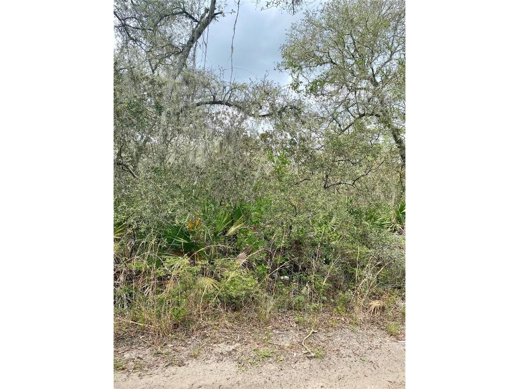 14310 SE 213th Court Umatilla FL 32784 O6190683 image1