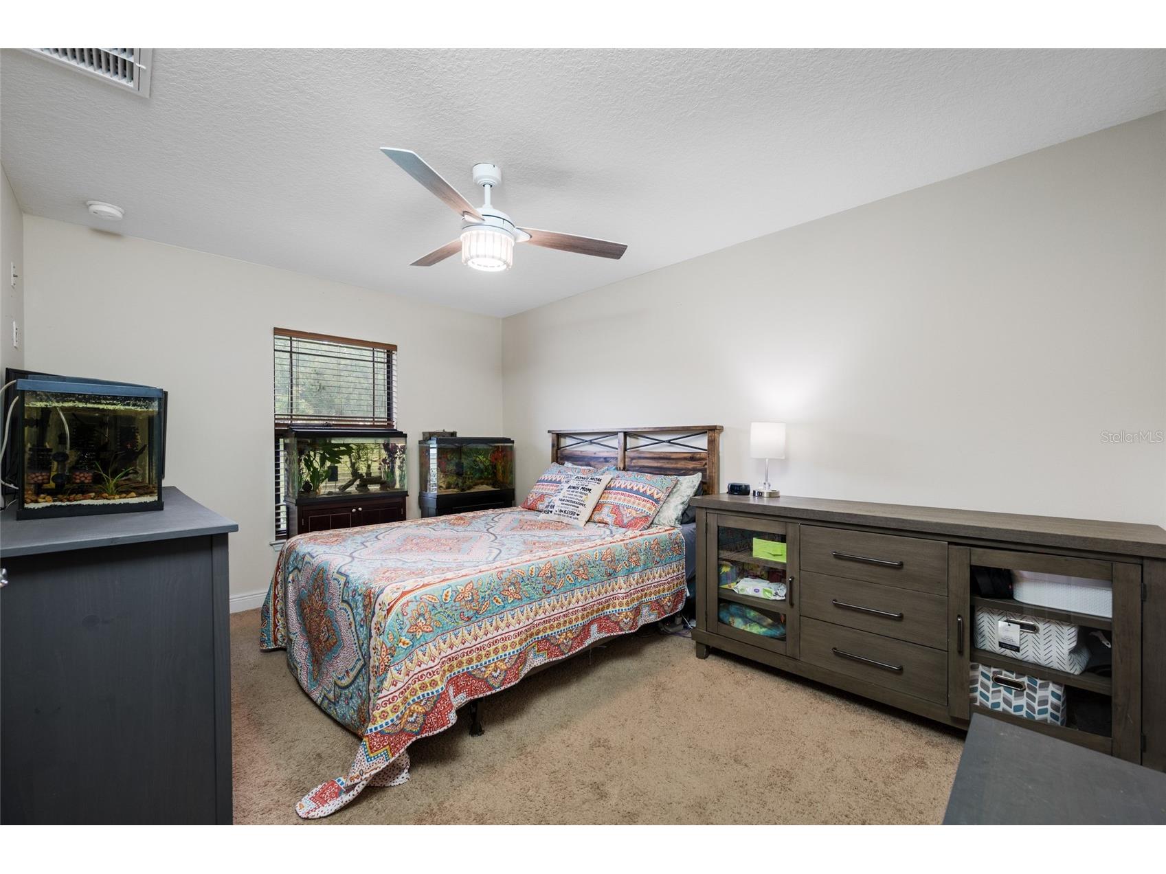 14311 Hill Country Lane Dade City FL 33525 TB8522598 image49