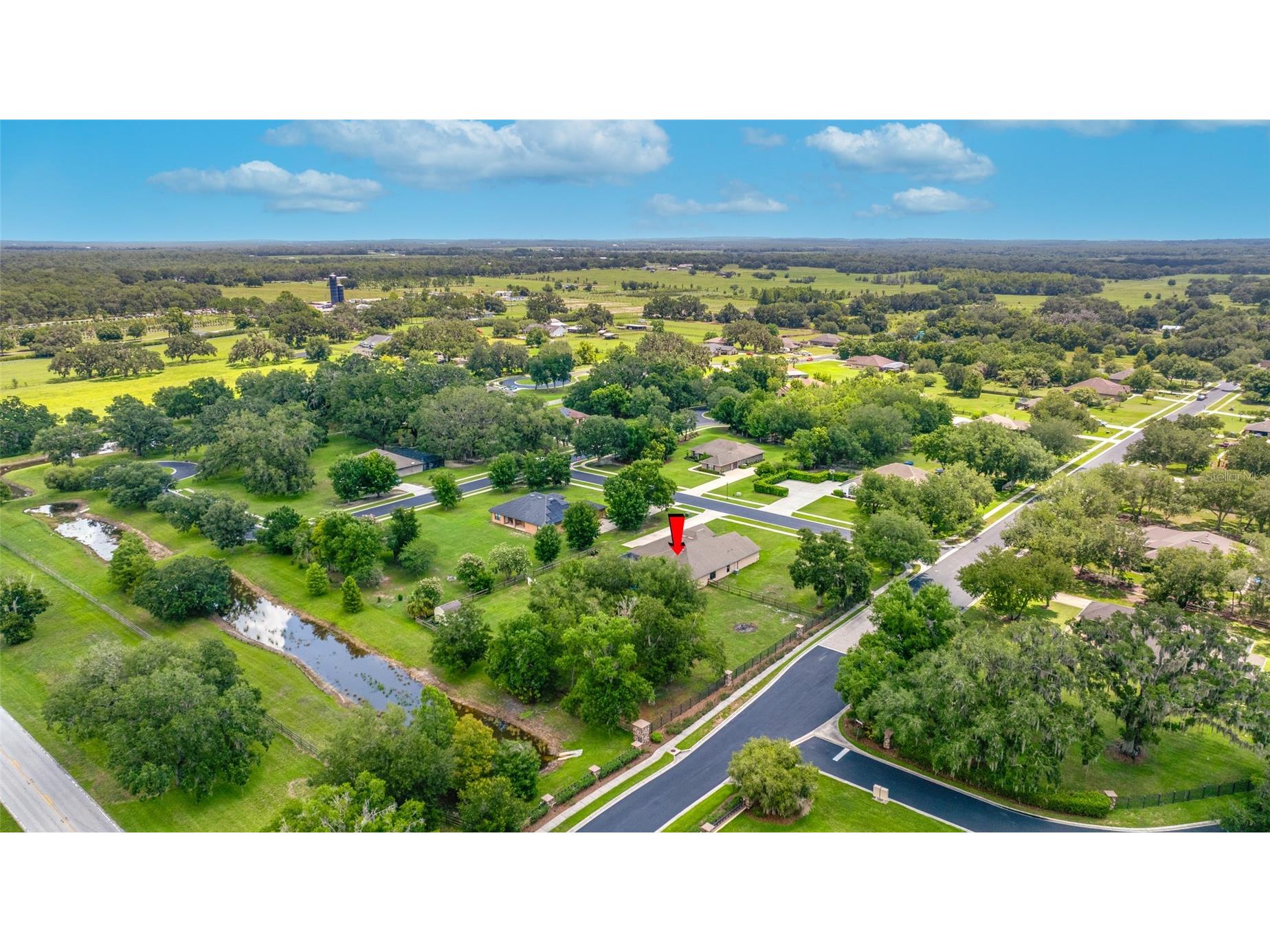 14311 Hill Country Lane Dade City FL 33525 TB8522598 image66