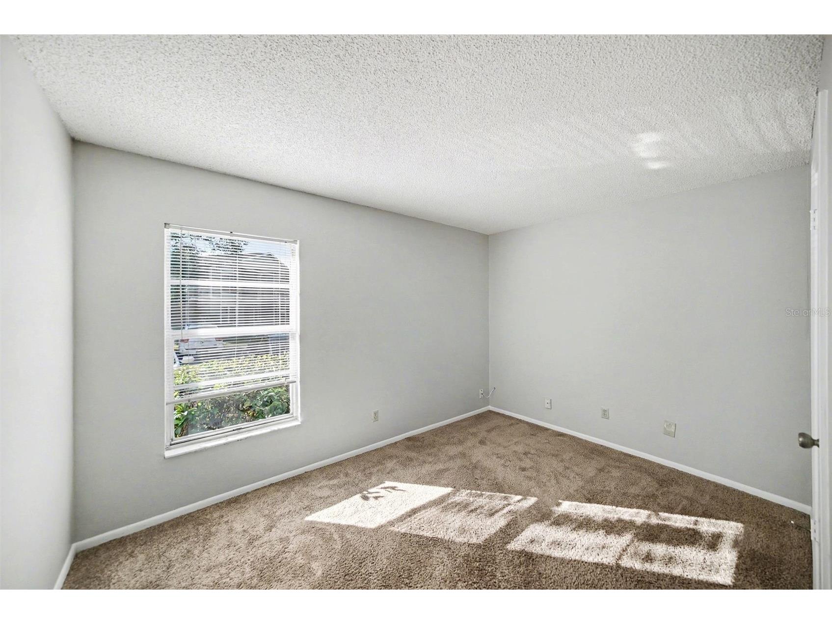 14312 Hanging Moss Circle #101 Tampa FL 33613 TB8466595 image22