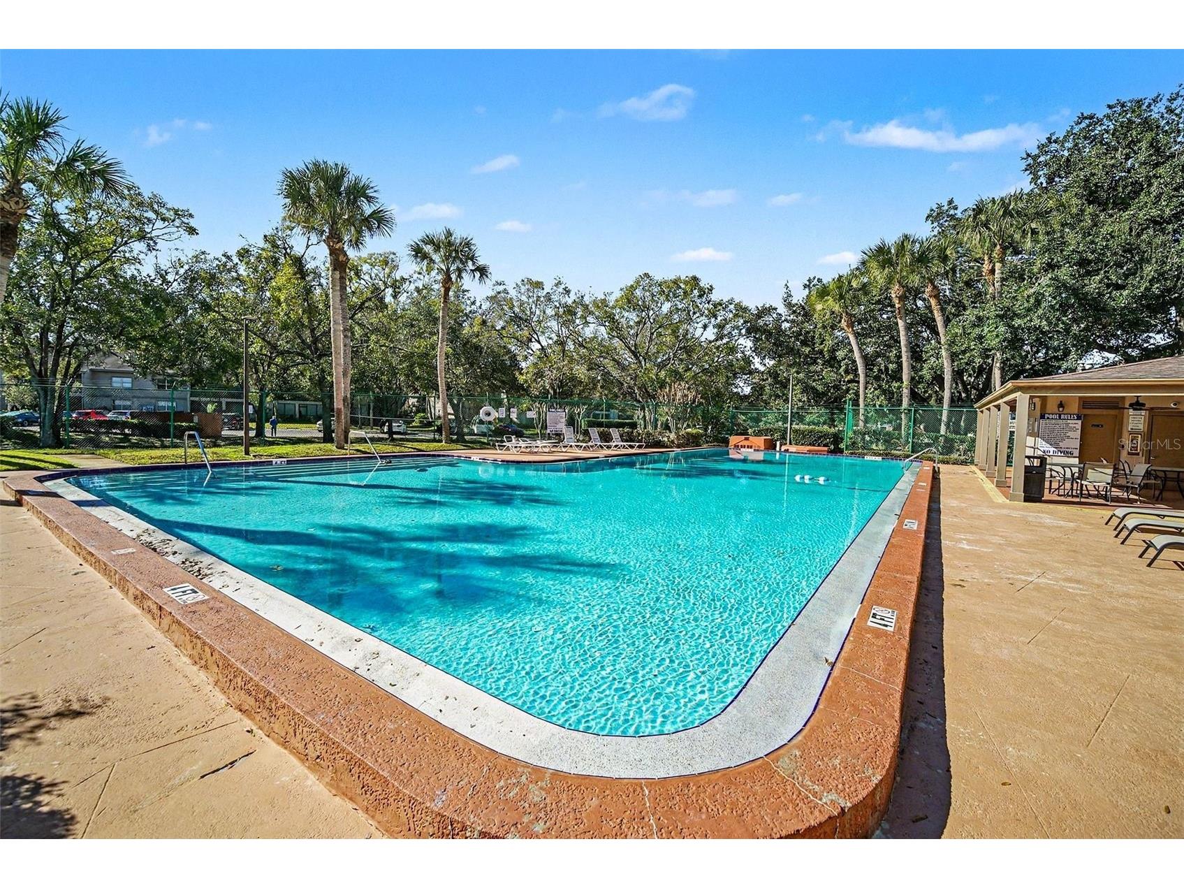 14312 Hanging Moss Circle #101 Tampa FL 33613 TB8466595 image23