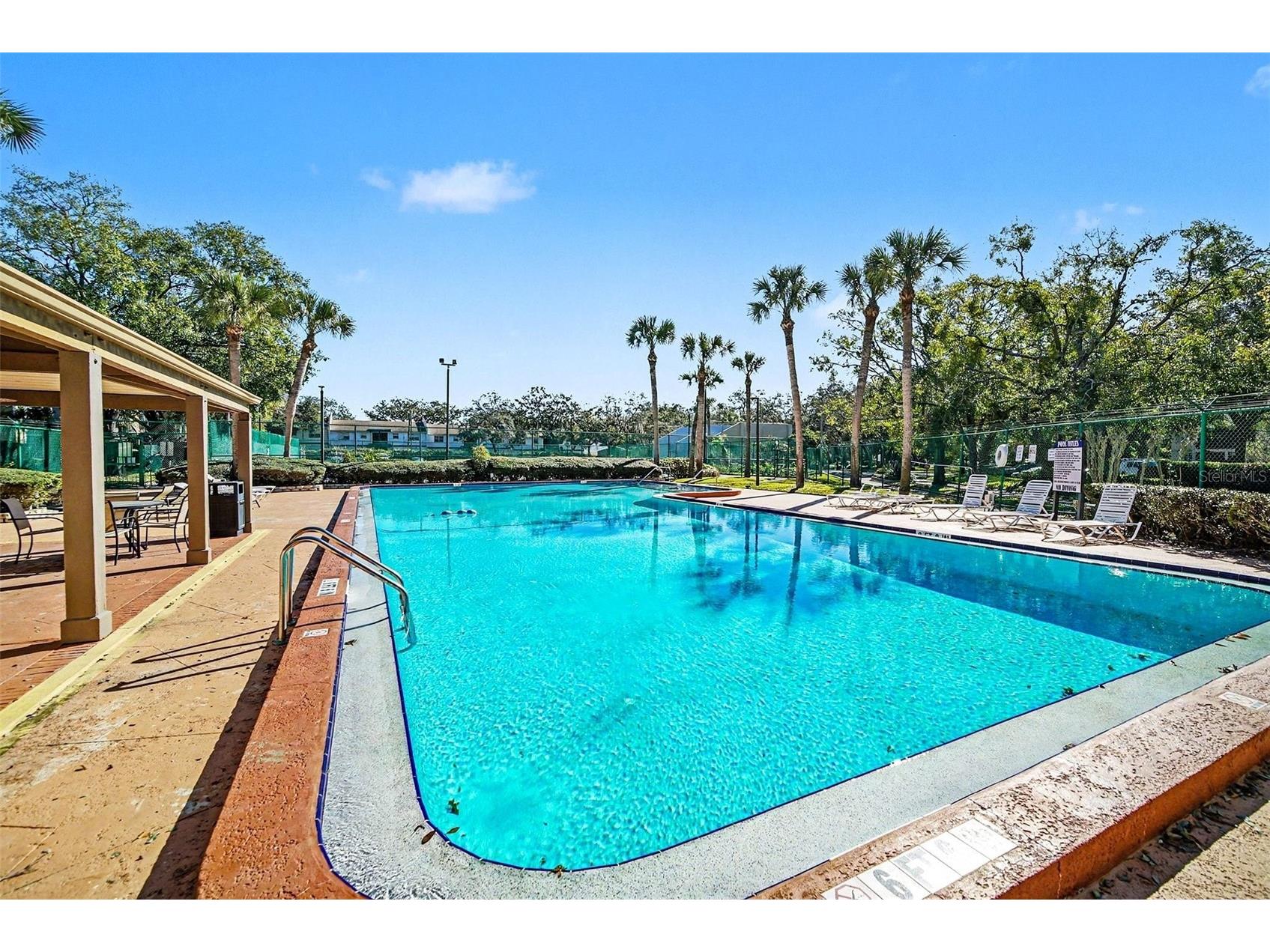 14312 Hanging Moss Circle #101 Tampa FL 33613 TB8466595 image24