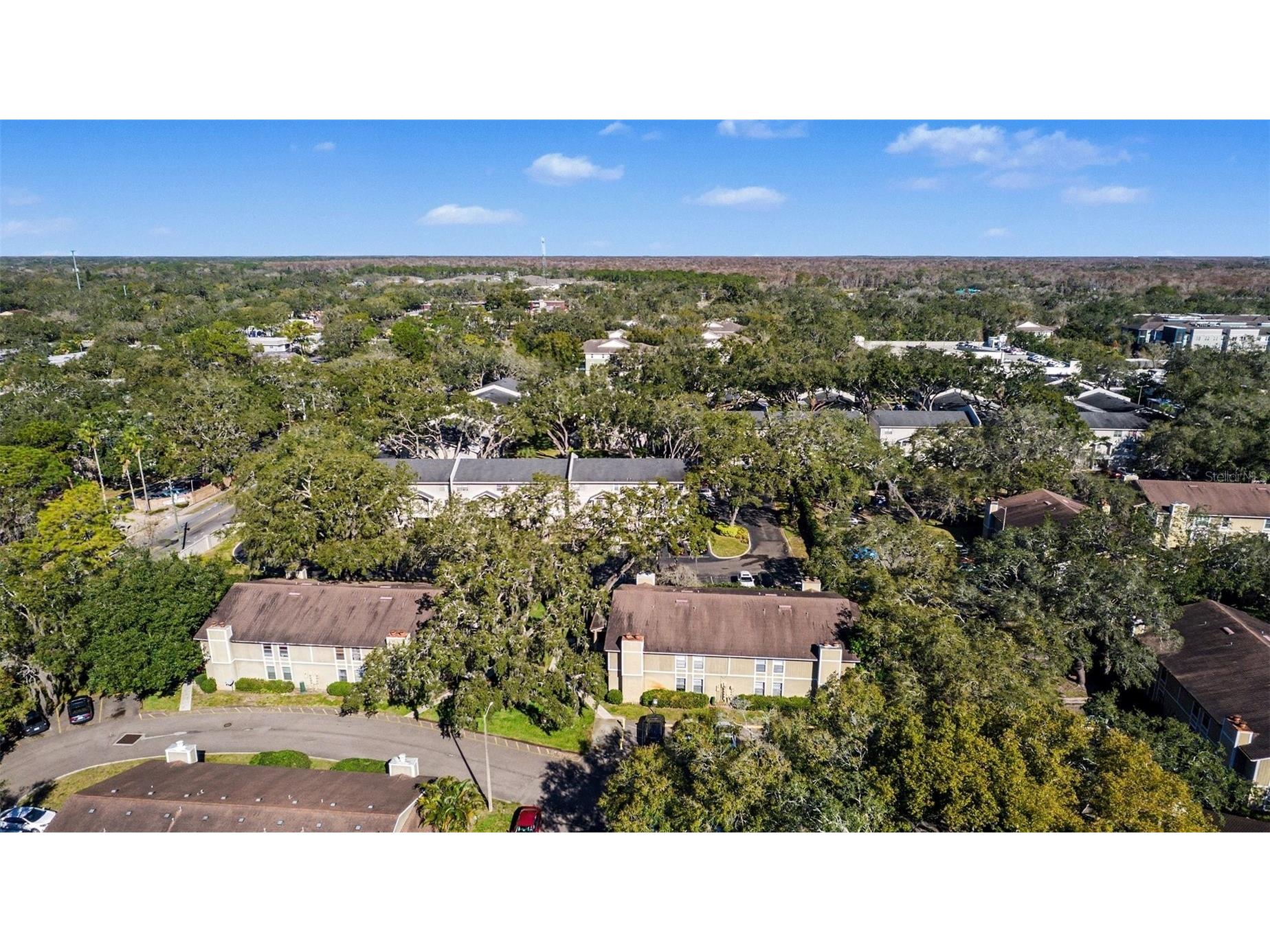 14312 Hanging Moss Circle #101 Tampa FL 33613 TB8466595 image27