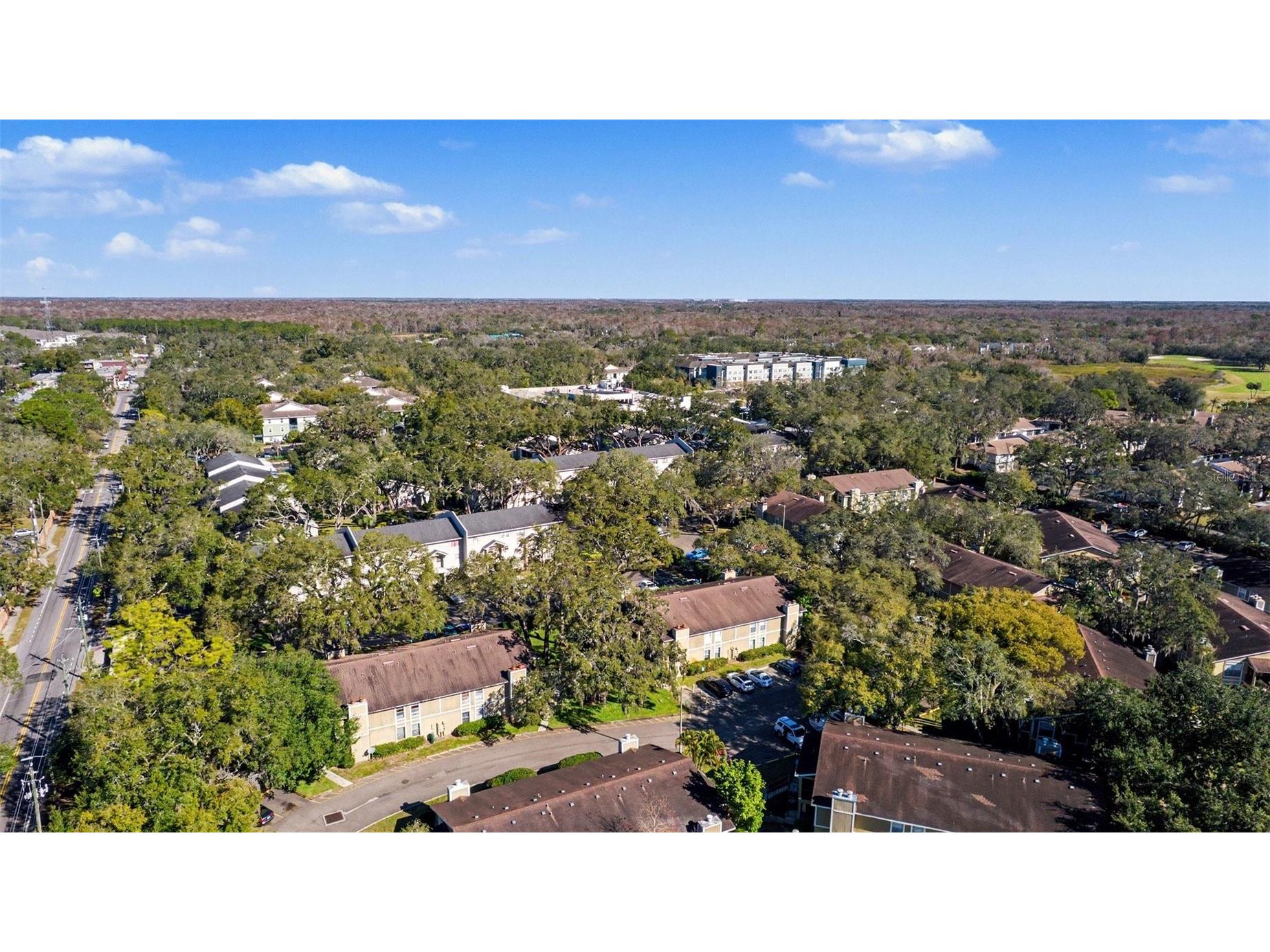 14312 Hanging Moss Circle #101 Tampa FL 33613 TB8466595 image29