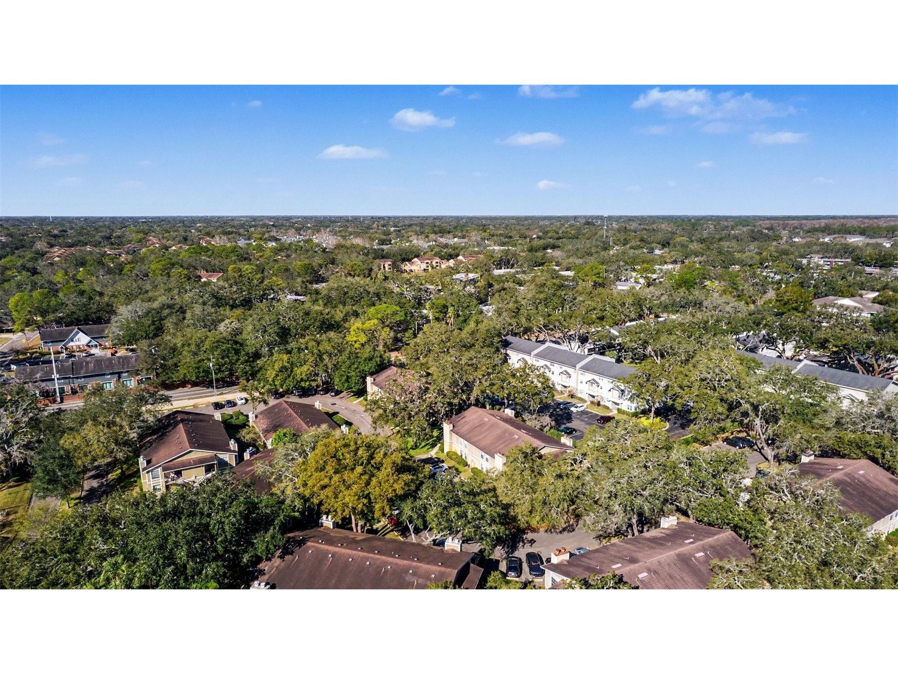 14312 Hanging Moss Circle #101 Tampa FL 33613 TB8466595 image30