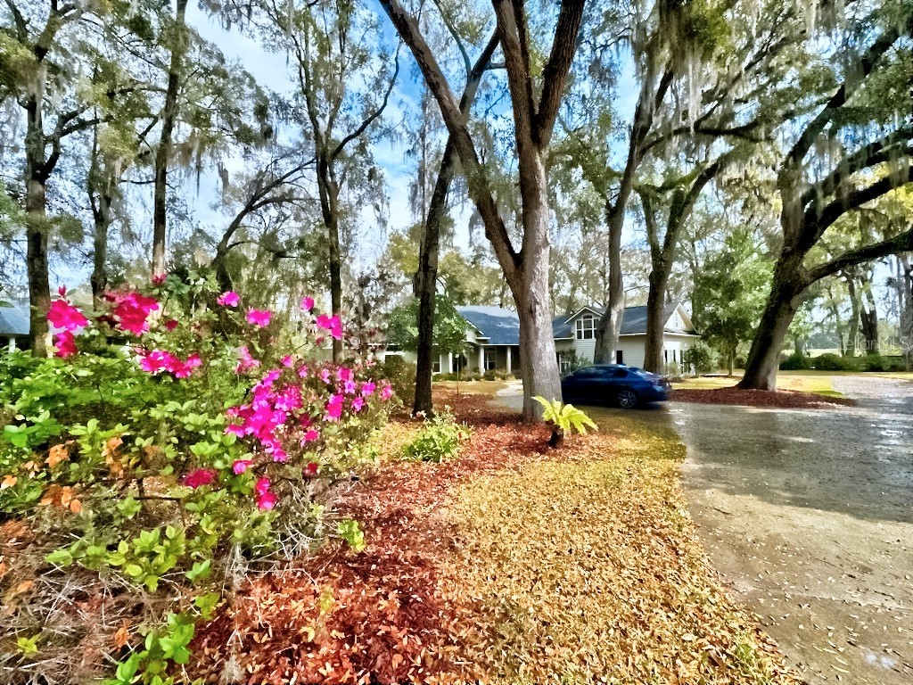 14312 NW 41st Avenue Newberry FL 32669 GC528689 image42