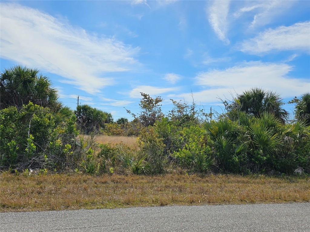 14313 Fort Myers Avenue Port Charlotte FL 33981 A4611563 image1