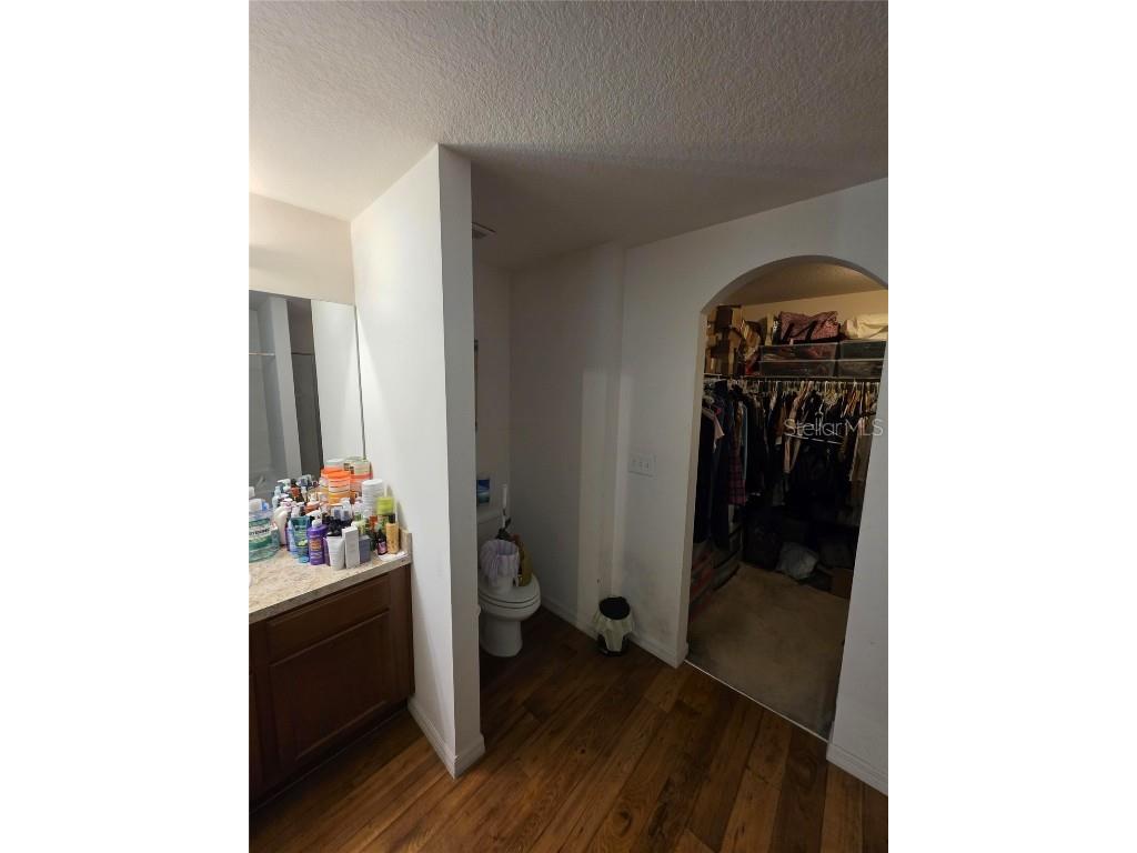 14313 Haddon Mist Drive Wimauma FL 33598 O6368591 image10